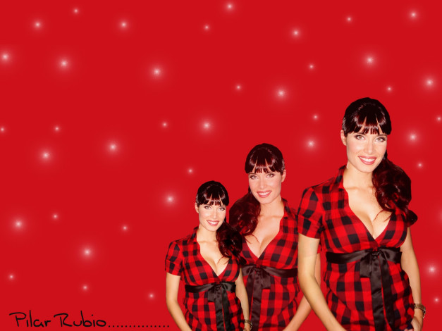 Обои картинки фото Pilar Rubio, девушки