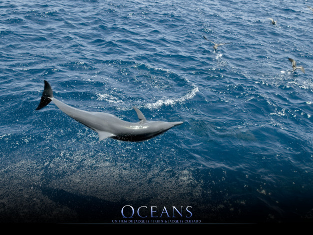 Обои картинки фото oc&, 233, ans, кино, фильмы