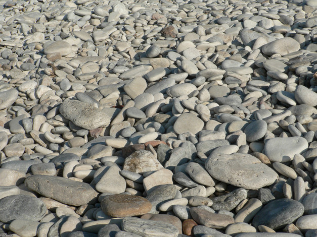 Обои картинки фото 