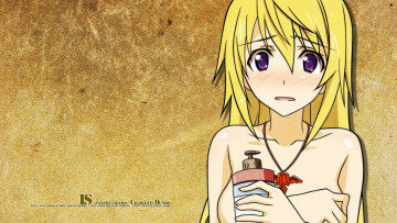 Картинка аниме infinite stratos