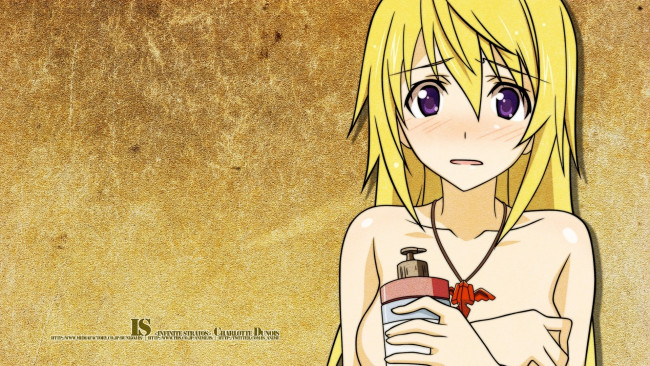 Обои картинки фото аниме, infinite, stratos