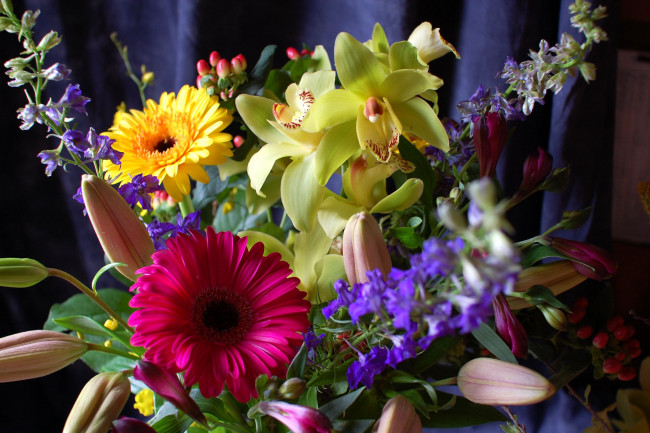 Обои картинки фото цветы, букеты, композиции, левкой, герберы, орхидеи