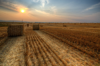 Картинка природа поля идахо