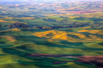 Картинка природа поля ландшафт штат вашингтон сша