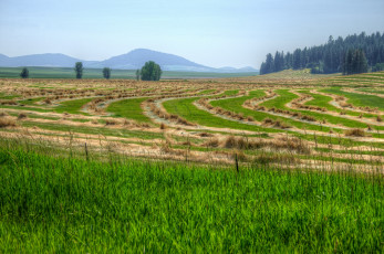 Картинка природа поля штат монтана сша