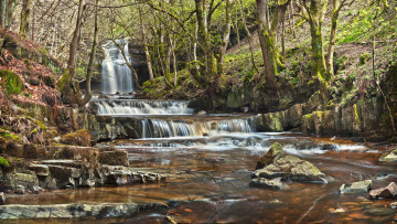 Картинка природа водопады река водопад лес
