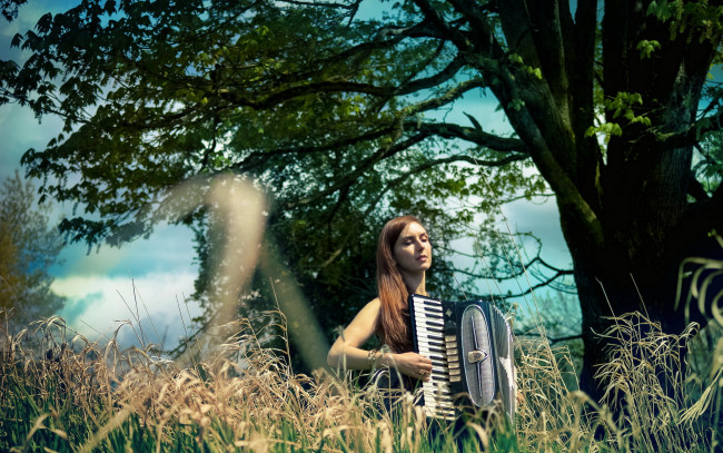 Обои картинки фото музыка, другое, аккордеон, девушка
