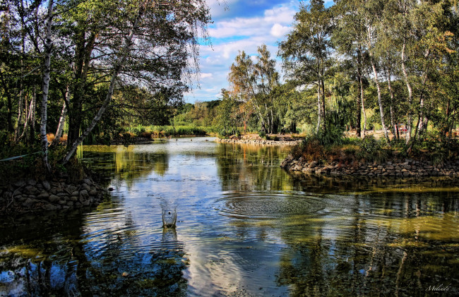 Обои картинки фото венгрия, дьёндьёш, природа, парк, водоем, растения