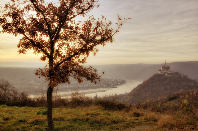 Обои картинки фото замок, максбург, германия, города, дворцы, замки, крепости, пейзаж, дерево