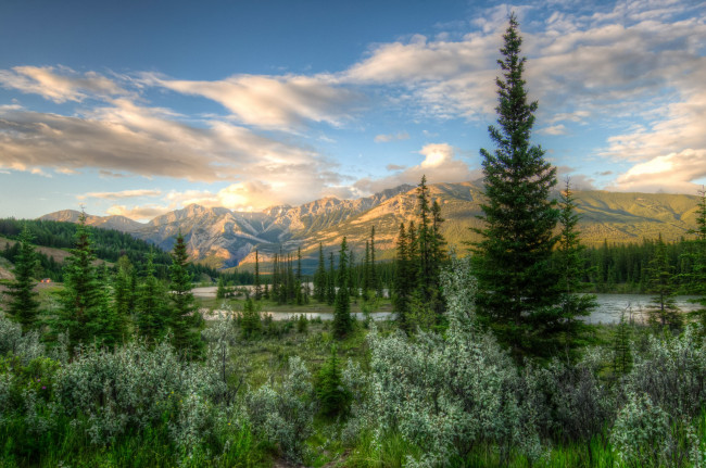 Обои картинки фото природа, деревья, канада