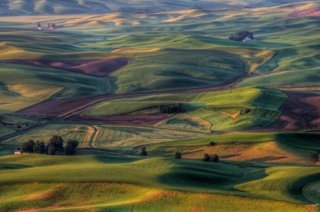 Обои картинки фото природа, поля, сша, ландшафт, штат, вашингтон