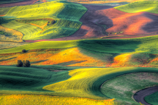 Обои картинки фото природа, поля, сша, ландшафт, штат, вашингтон