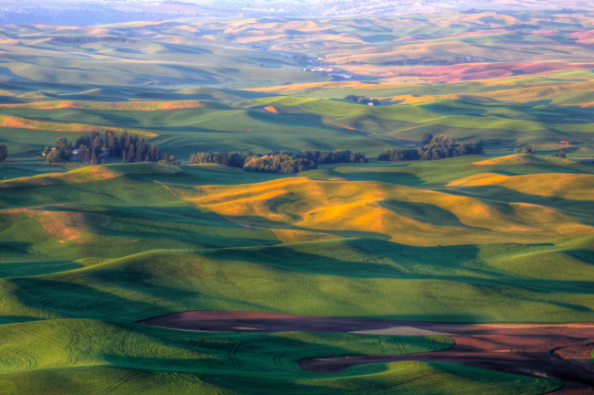 Обои картинки фото природа, поля, ландшафт, штат, вашингтон, сша