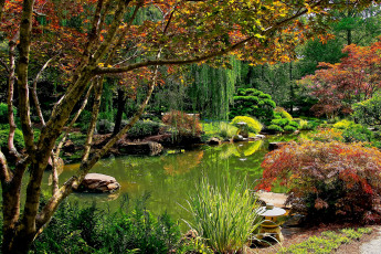 Картинка ball+ground++gibbs+gardens природа парк деревья кусты пруд gardens gibbs ball ground