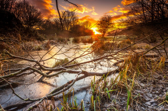 Картинка природа восходы закаты река лес рассвет