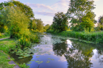 Картинка природа реки озера река лес