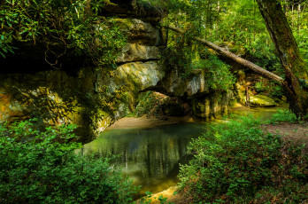 Картинка природа реки озера река лес скалы