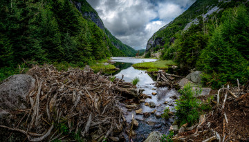 Картинка природа реки озера река лес горы