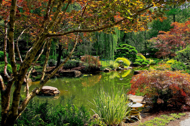 Обои картинки фото ball ground  gibbs gardens, природа, парк, деревья, кусты, пруд, gardens, gibbs, ball, ground