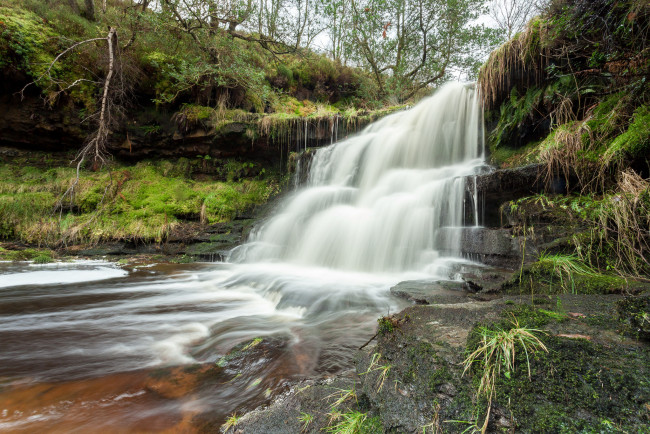 Обои картинки фото природа, водопады, лес, водопад, река