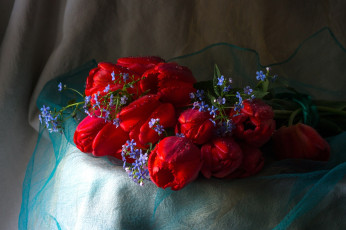 Картинка цветы разные+вместе незабудки тюльпаны