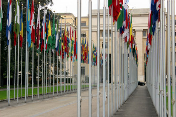 Картинка разное флаги +гербы много