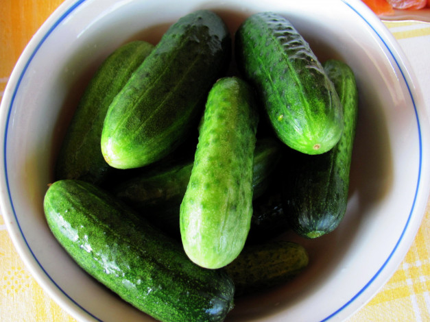 Обои картинки фото еда, огурцы, свежие