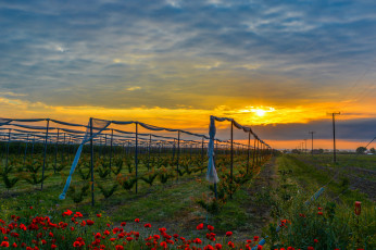 Картинка природа восходы закаты рассвет