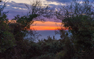 Картинка природа побережье море берег