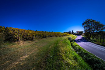 Картинка природа дороги простор