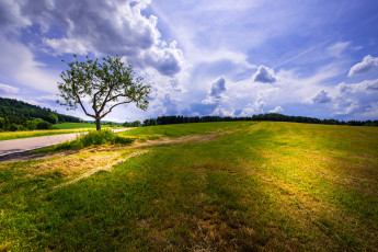 Картинка природа дороги простор