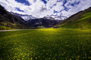 Картинка природа луга простор