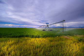 Картинка природа поля простор