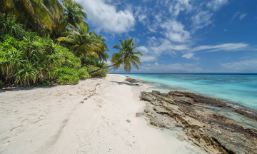 Картинка природа тропики простор