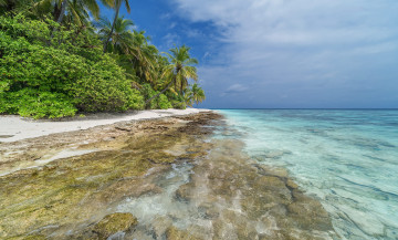 Картинка природа тропики простор