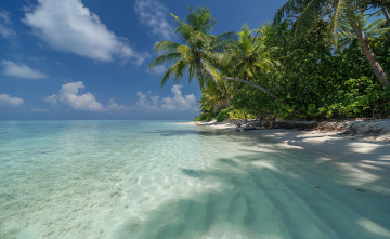 Картинка природа тропики простор