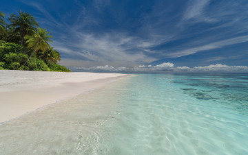 Картинка природа тропики простор