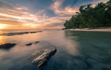 Картинка природа тропики простор