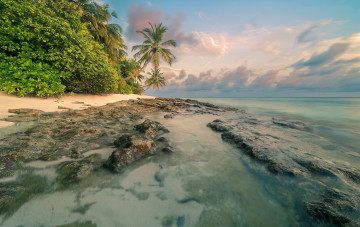 Картинка природа тропики простор