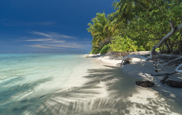 Картинка природа тропики простор