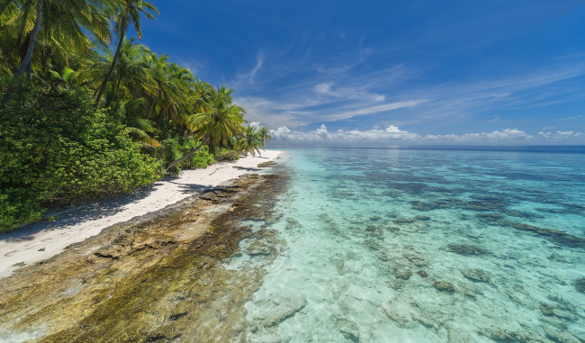 Обои картинки фото природа, тропики, простор