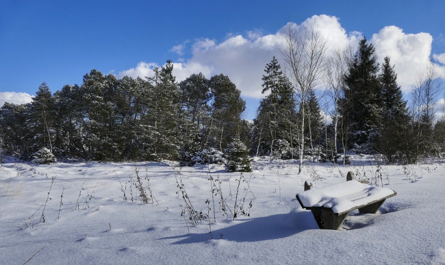 Обои картинки фото природа, зима