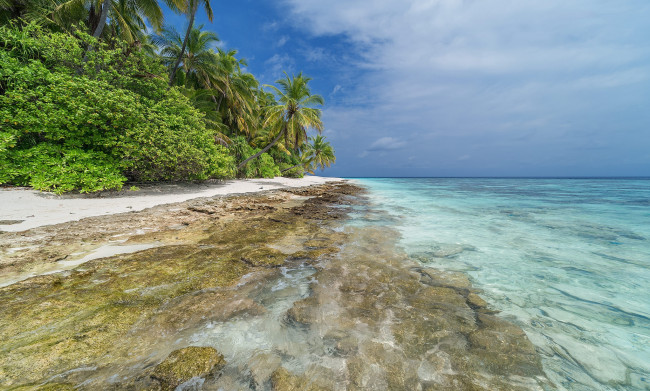 Обои картинки фото природа, тропики, простор