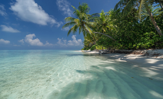 Обои картинки фото природа, тропики, простор