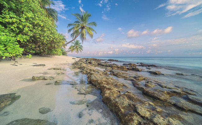 Обои картинки фото природа, тропики, простор