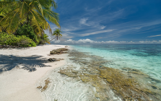 Обои картинки фото природа, тропики, простор