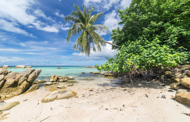 Обои картинки фото природа, тропики, простор