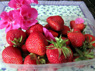 Картинка еда клубника +земляника