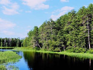 Картинка природа реки озера отражение