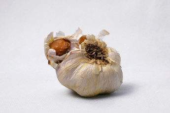 Картинка еда чеснок